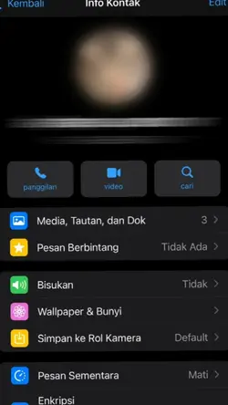 collab ber - 13