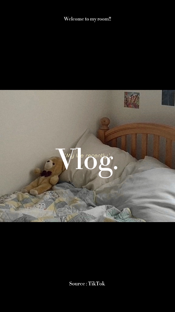 Vlog diario