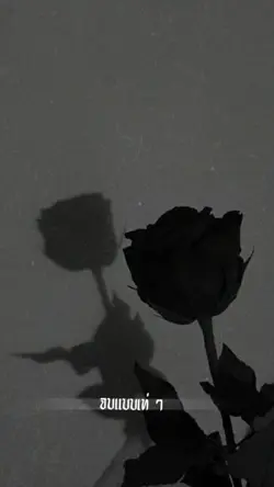 จบเเบบเท่ ๆ