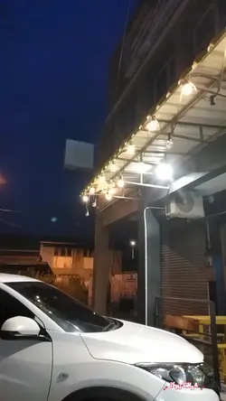 Pohon beringin