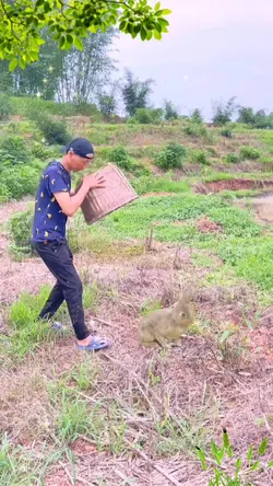biến hình