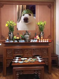 mẫu trolll bạn bè