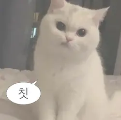 캡컷 미쳤음??