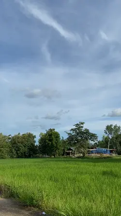 ธรรมชาติ+เสียงพิณ