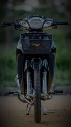 WAYE125