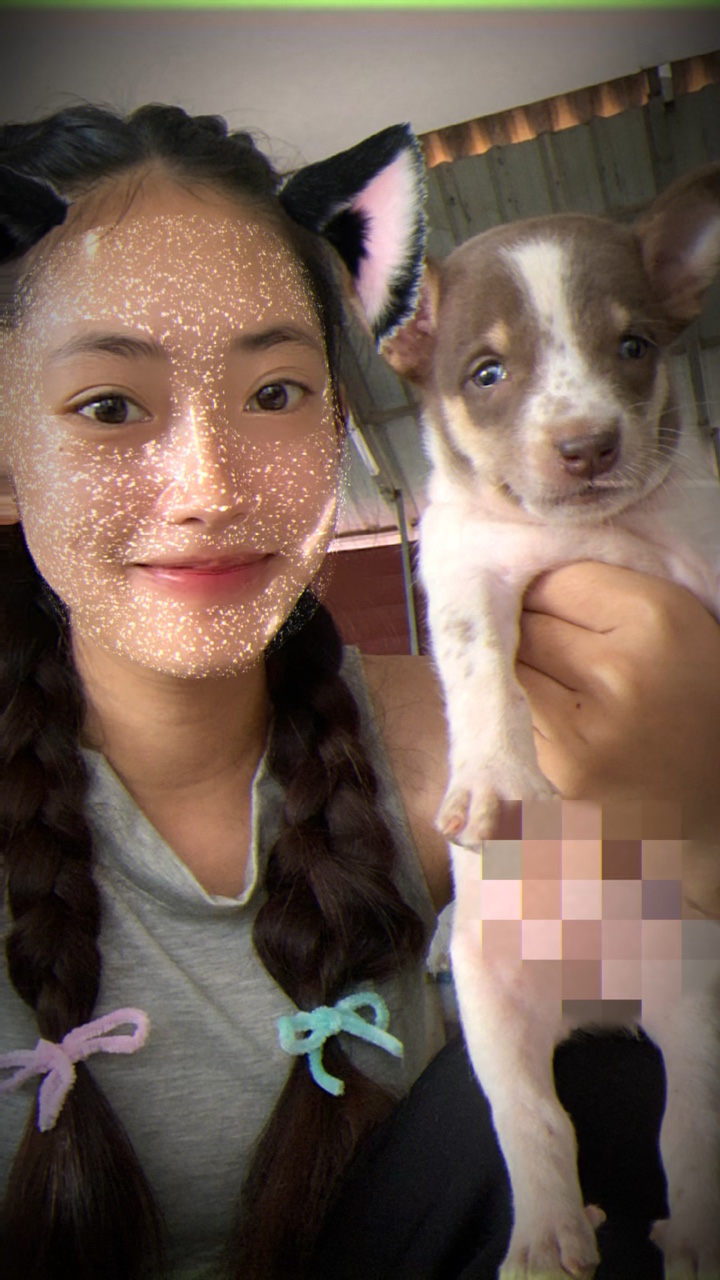 ไม่มีเธอแล้วทำย่างไร