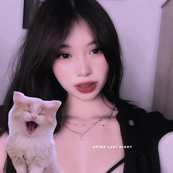 지난 밤