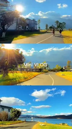 Black Pink-Shut Down