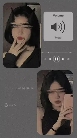 partial distortion