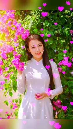 mẫu 7ảnh 