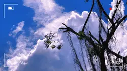 chill bầuu trời
