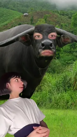 1 รูป | มีม