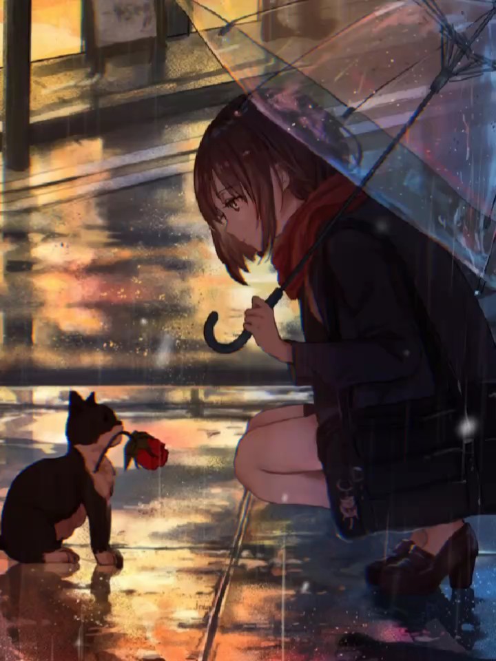 ไม่ได้เลิศหรู