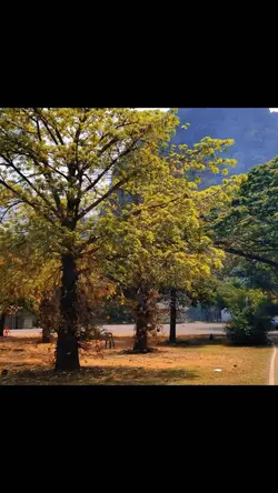 1วิดีโอ จัตุรัส