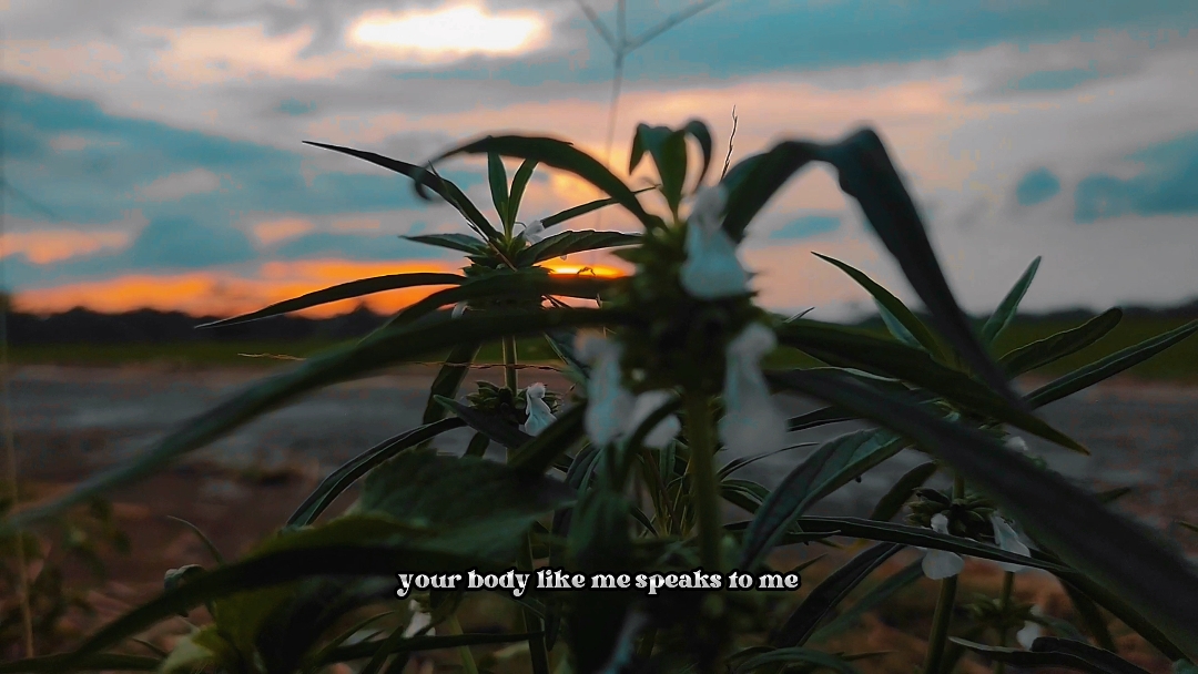 cinematography 
