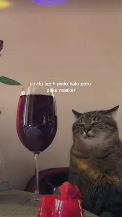 pov:lu lebih pede 