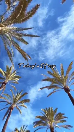 Today's Story 10.03