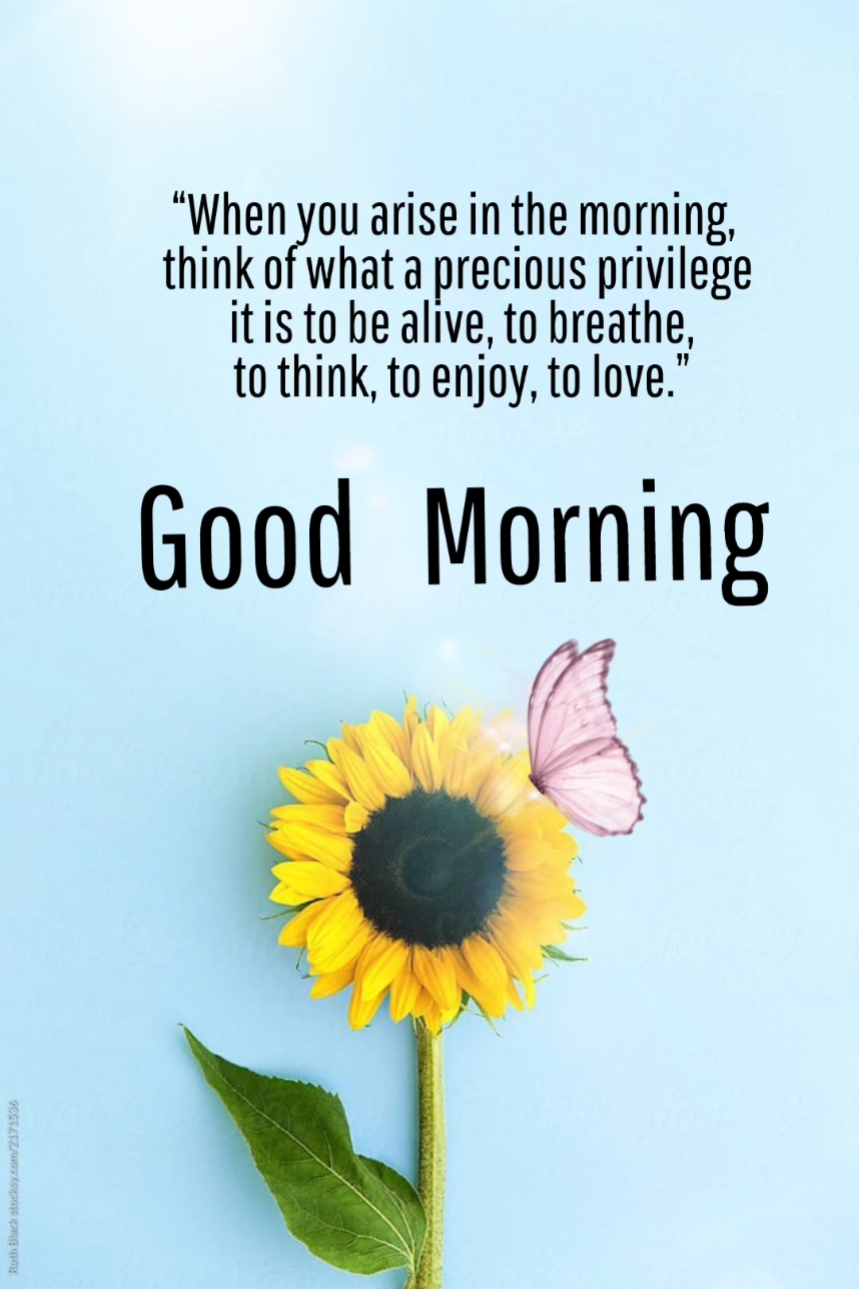 Buenos días
