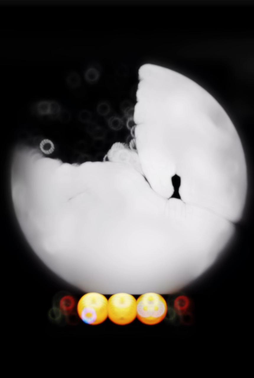 បើសិនសុខៗបាត់បង