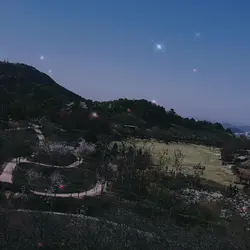 난 그녀를 사라하지 않는 것 같아