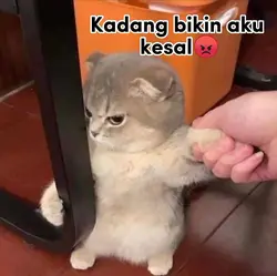pakailah