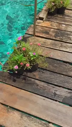 prank your friends 