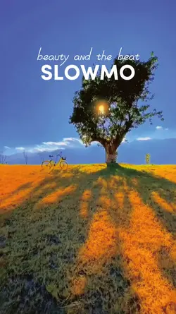 aesthetic slowmotion