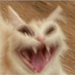 병맛.