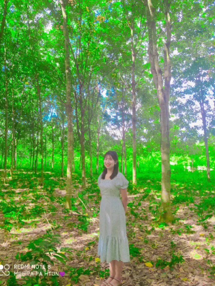 နှင်းဆီကဗျာ