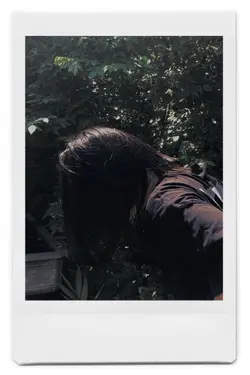 POLAROID/MELTING