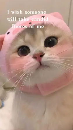 candid photo