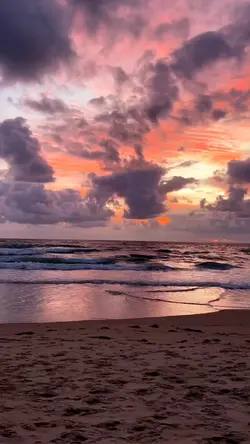 mentahan.video
