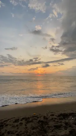 wes anderson templat