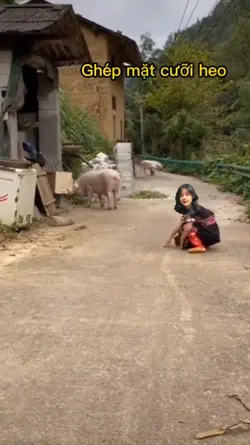 Ghép mặt hài hước 