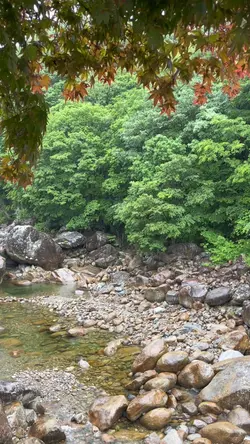 여행 캠핑 템플릿 🍁