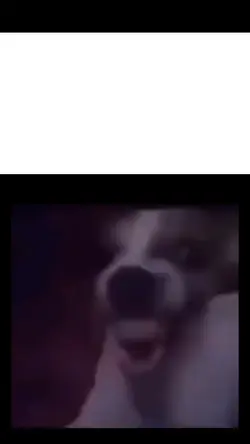 meme ajg ketawa