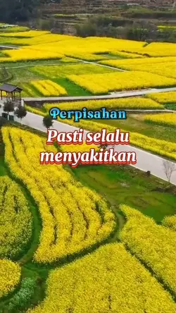 perpisahan