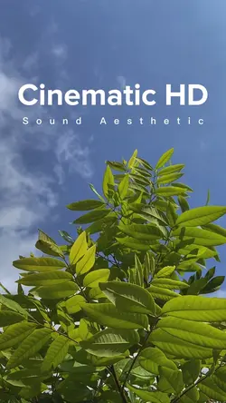 Cinematic Filter