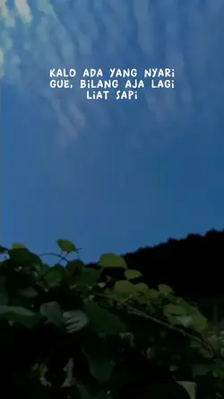 Nyari sapi dlu