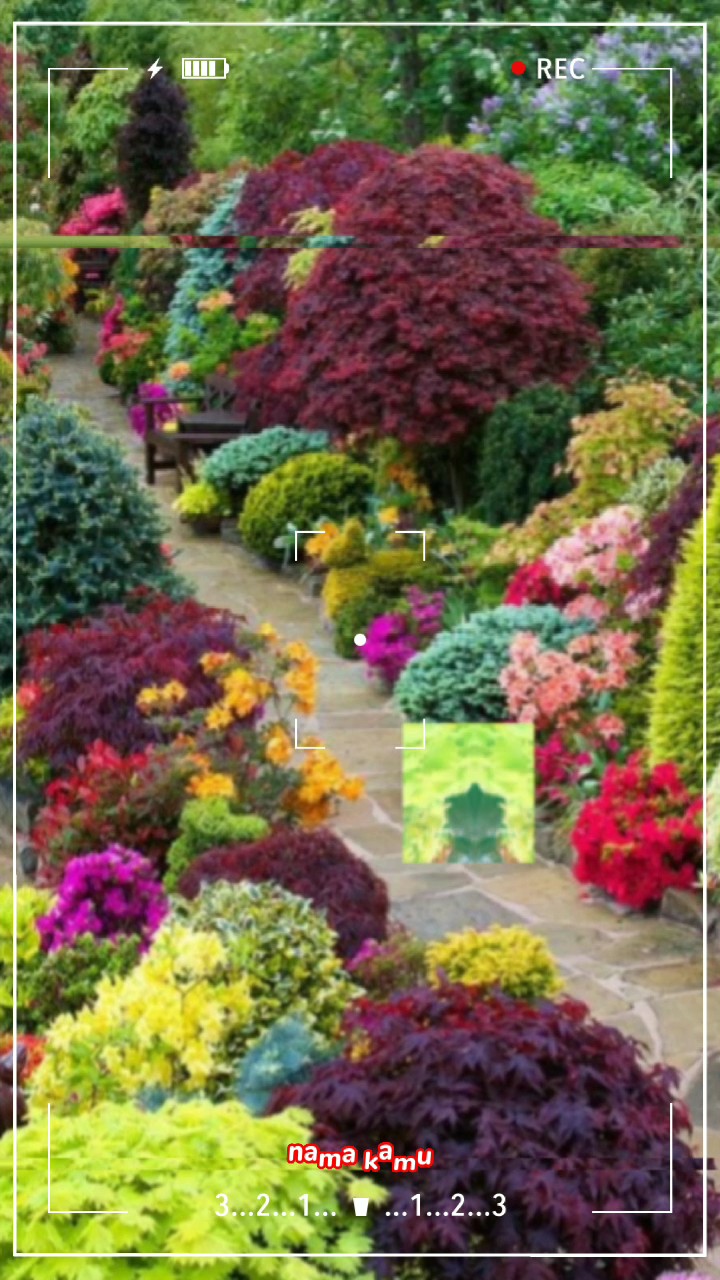 jardin