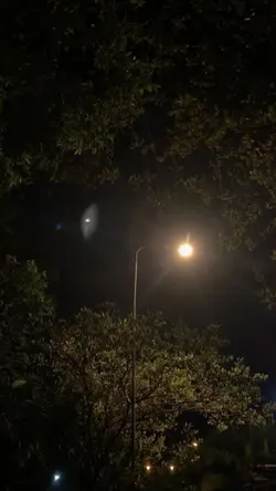 Như Anh Đã Thấy Em