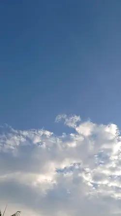 1 VIDEO DOANG