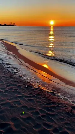 melodi|suci dlm debu