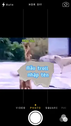 Mẫu troll nhập tên