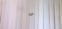 Parsha overlay