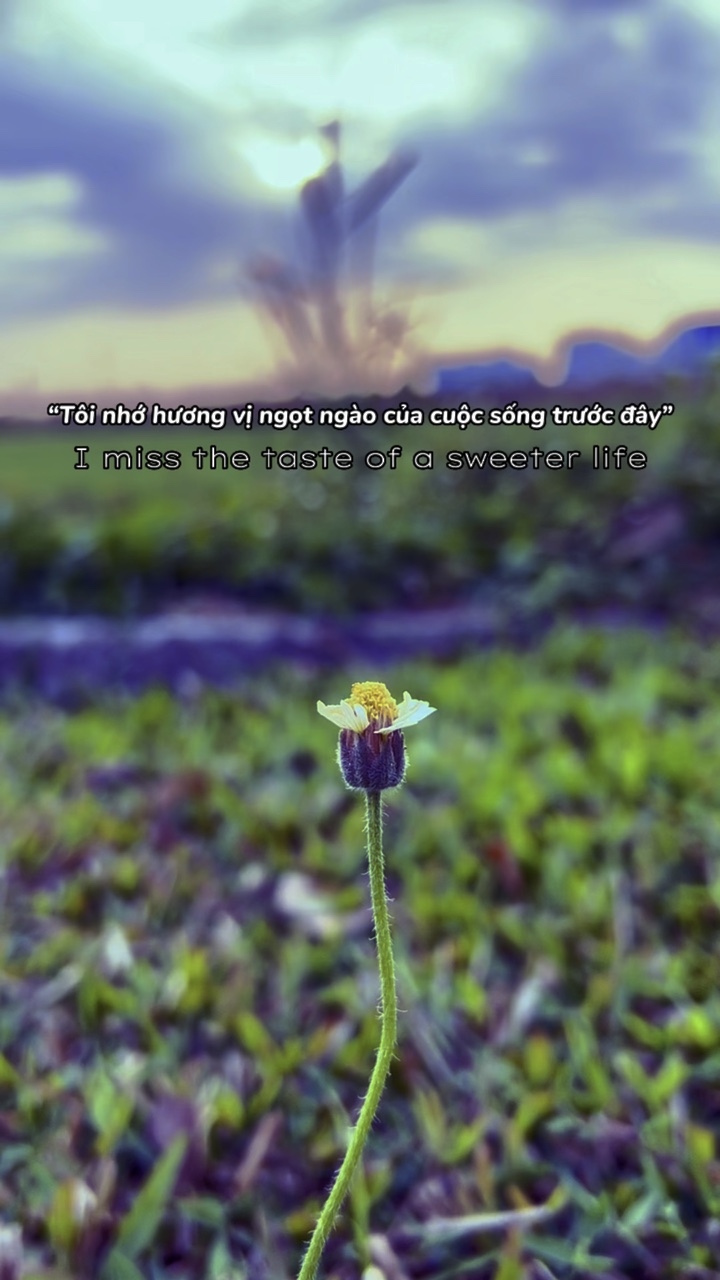 Mtitude u nhṛnhàng Eng