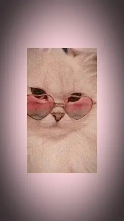 cute cat glasses 