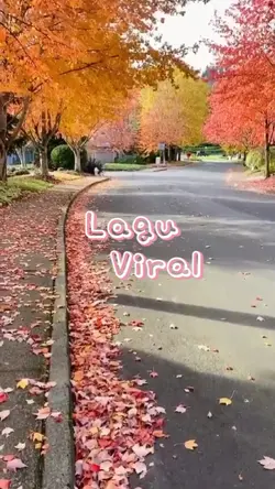 Versi Transisi