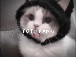 aku cinta kamu