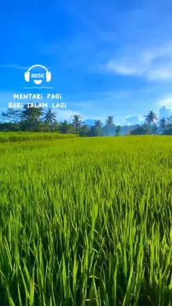mentari pagii